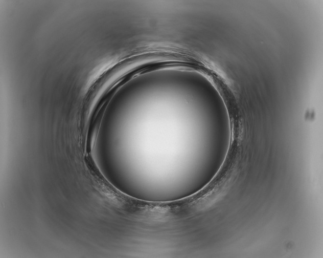 X0000091091261200708131312