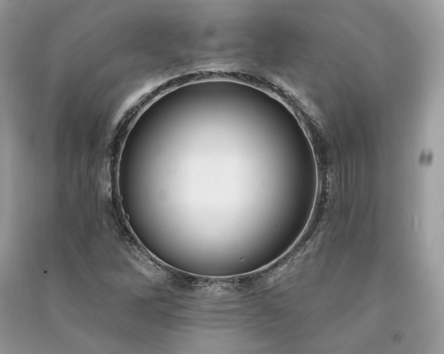 X0000091091262200708131312