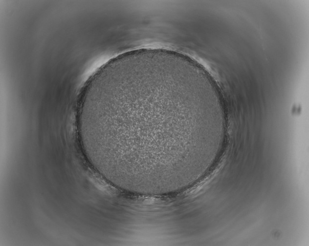 X0000091091263200708131312