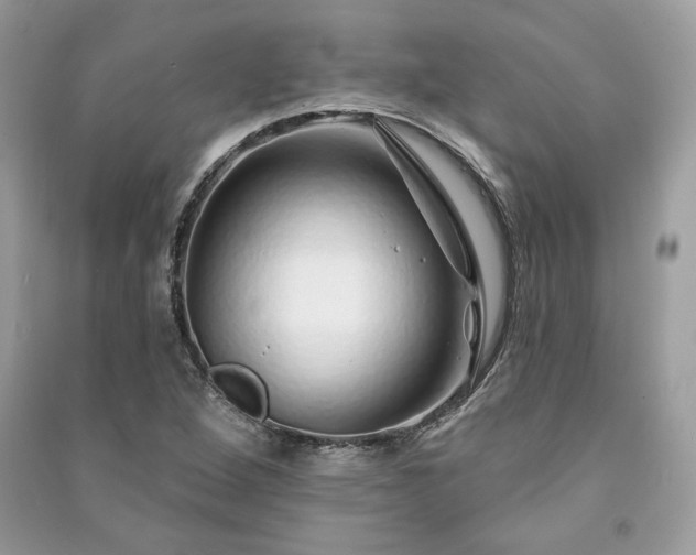 X0000091091264200708131312