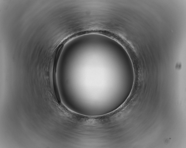 X0000091091265200708131312