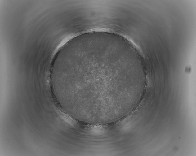 X0000091091266200708131312