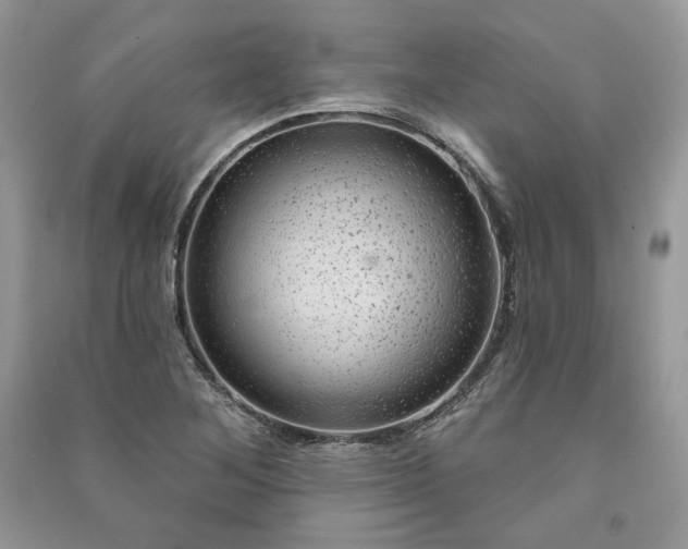 X0000091091268200708131312
