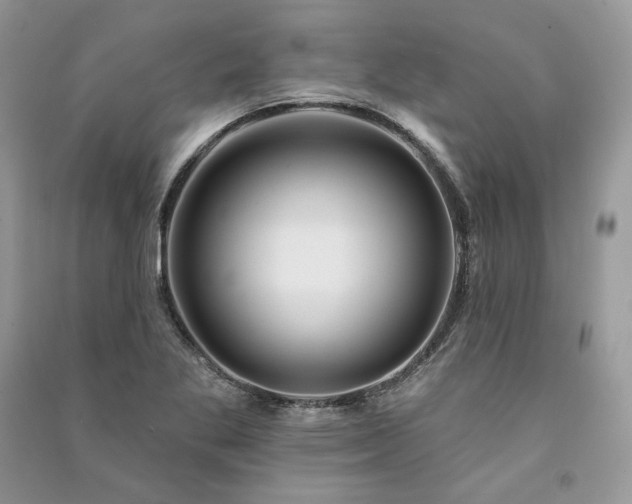 X0000091091269200708131312