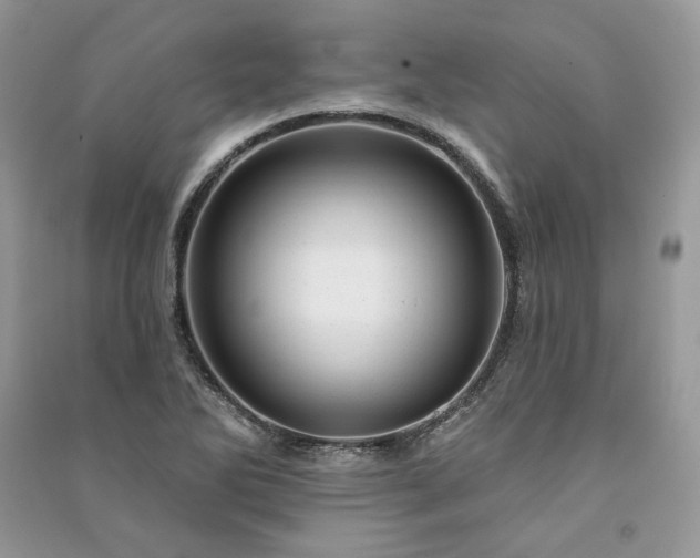 X0000091091270200708131312