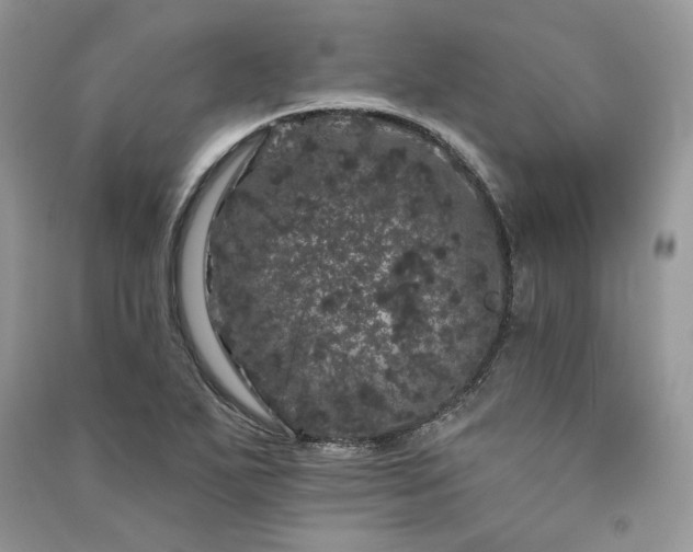 X0000091091271200708131311