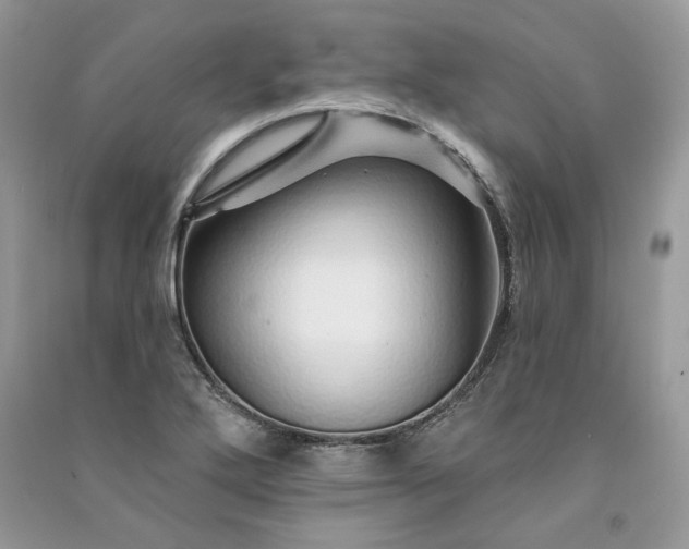 X0000091091272200708131311