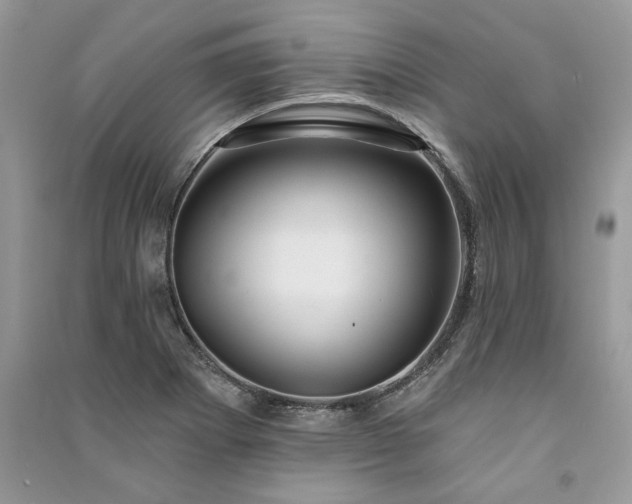 X0000091091273200708131311