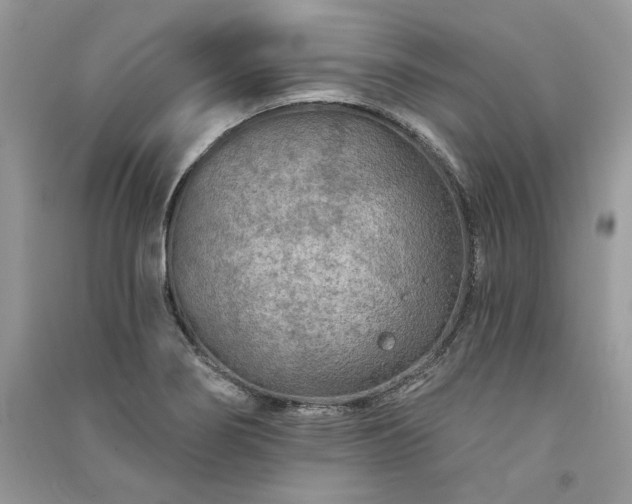 X0000091091274200708131311