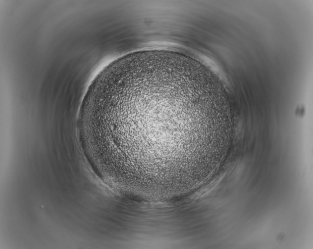 X0000091091275200708131311