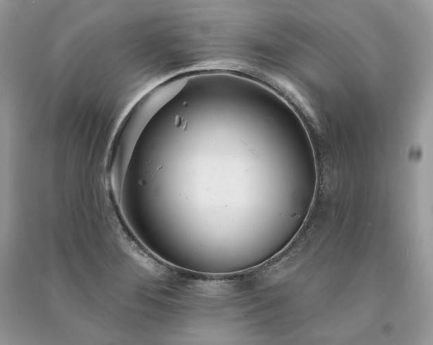 X0000091091276200708131311