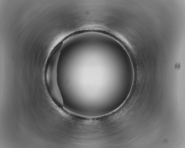 X0000091091277200708131311