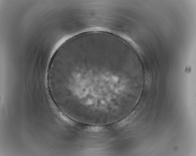 X0000091091278200708131311