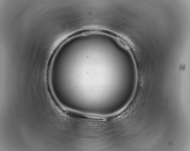 X0000091091279200708131311