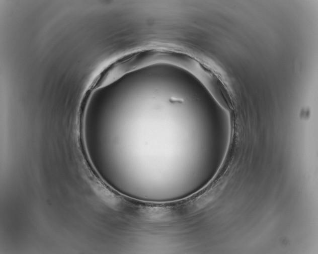 X0000091091280200708131311