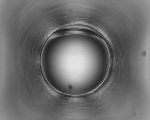 X0000091091281200708131311