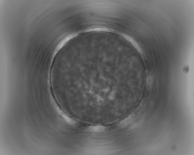 X0000091091282200708131311