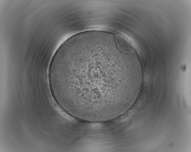 X0000091091283200708131311