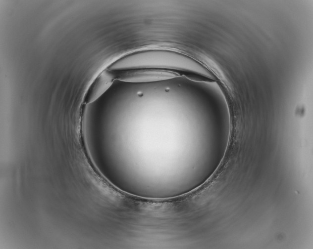 X0000091091284200708131311