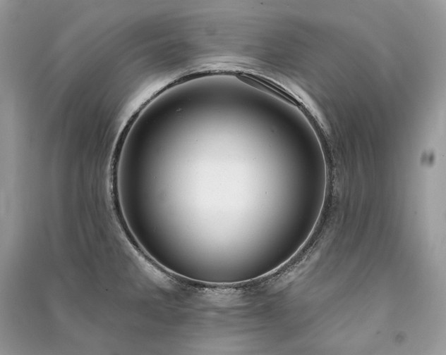 X0000091091285200708131311