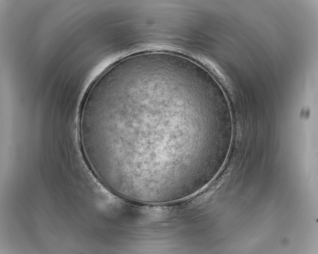 X0000091091286200708131311