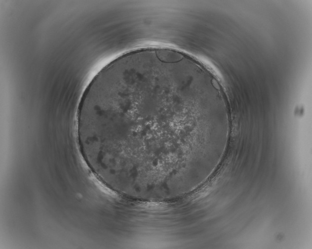 X0000091091287200708131311