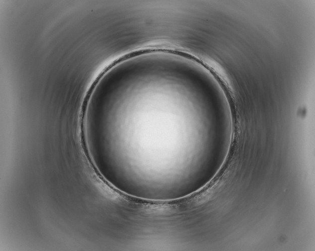 X0000091091288200708131311