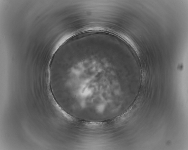 X0000091091290200708131311