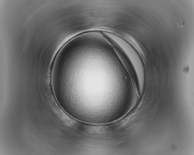 X0000091091292200708131311