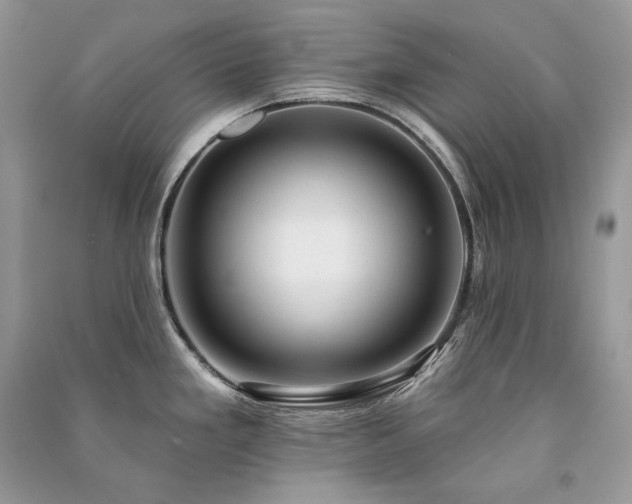 X0000091091293200708131311