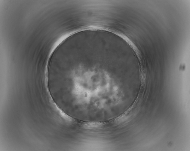 X0000091091294200708131311