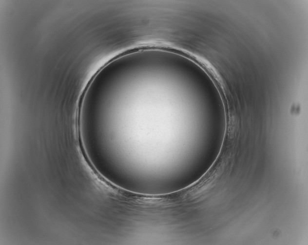 X0000091091295200708131311