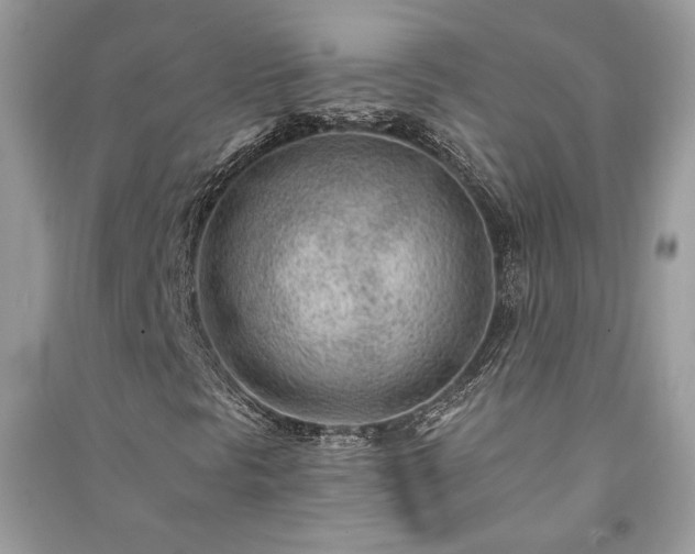 X0000091091297200708131310