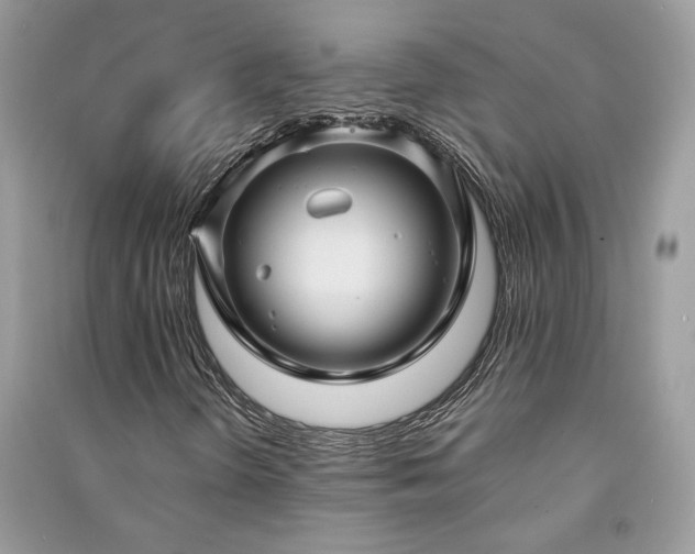 X0000091091298200708131310