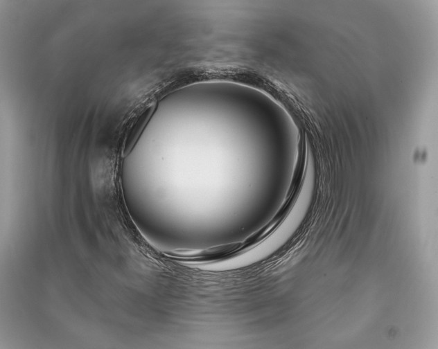 X0000091091300200708131311