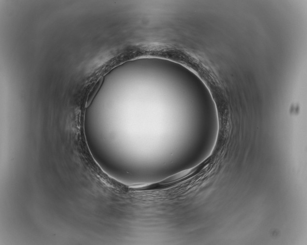 X0000091091301200708131311