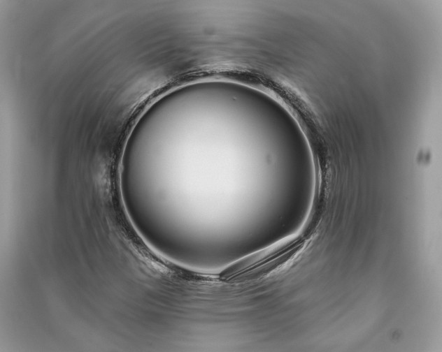 X0000091091305200708131311