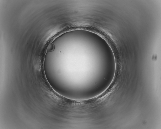 X0000091091306200708131311
