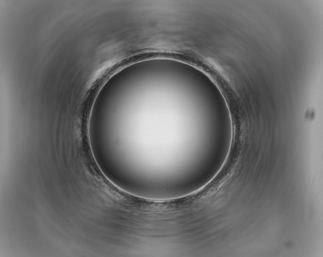 X0000091091307200708131311