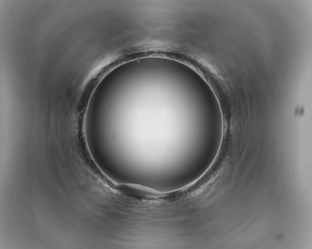 X0000091091309200708131311