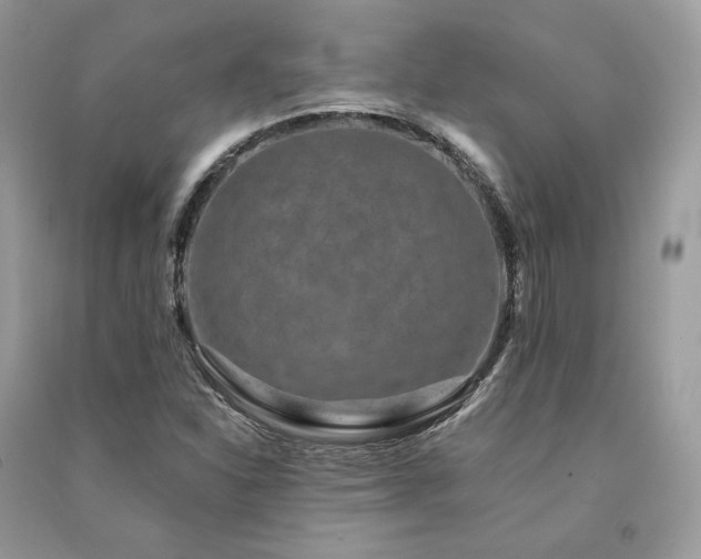 X0000091091310200708131311