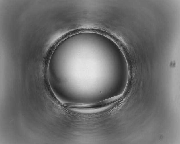X0000091091311200708131311