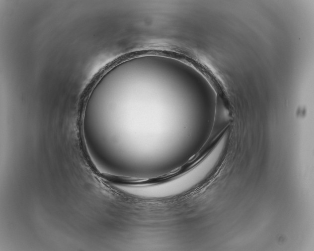 X0000091091312200708131311