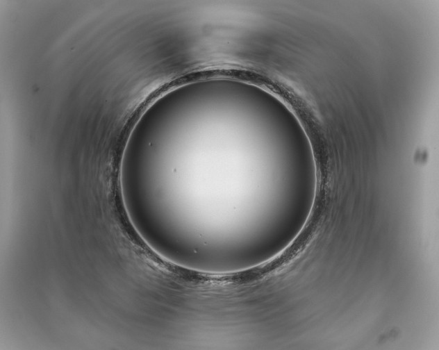 X0000091091313200708131311