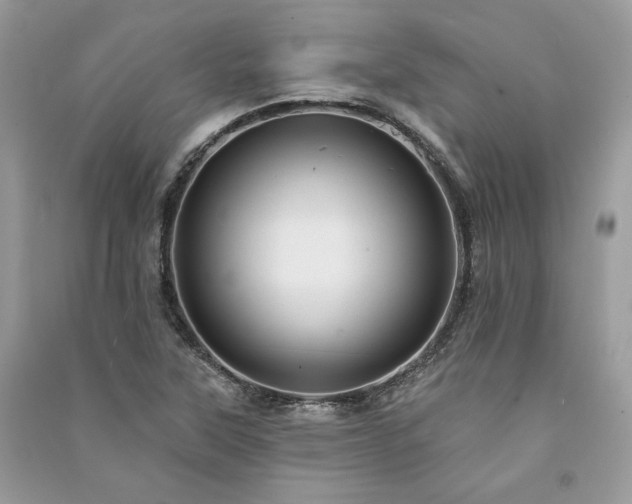 X0000091091315200708131311