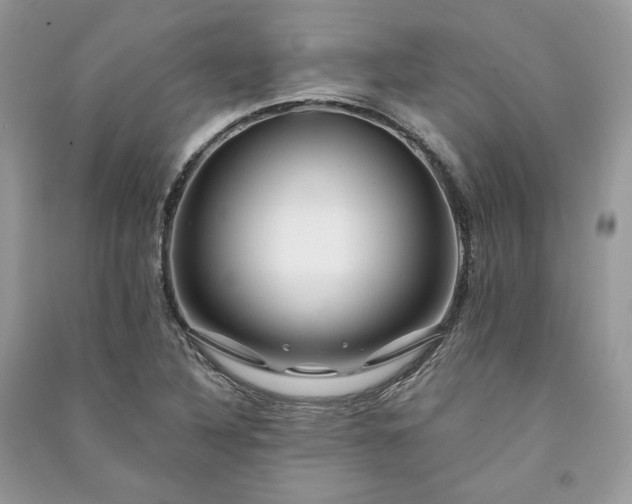 X0000091091316200708131311