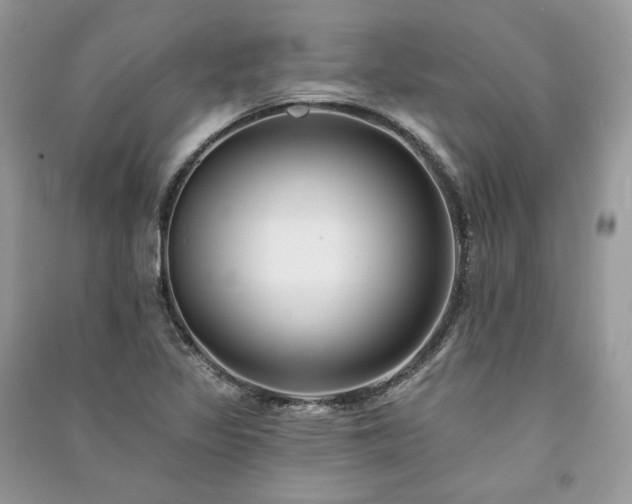 X0000091091317200708131311