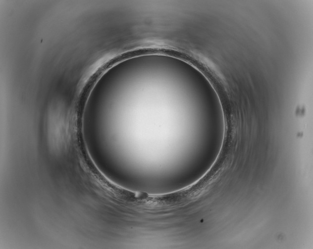 X0000091091318200708131311