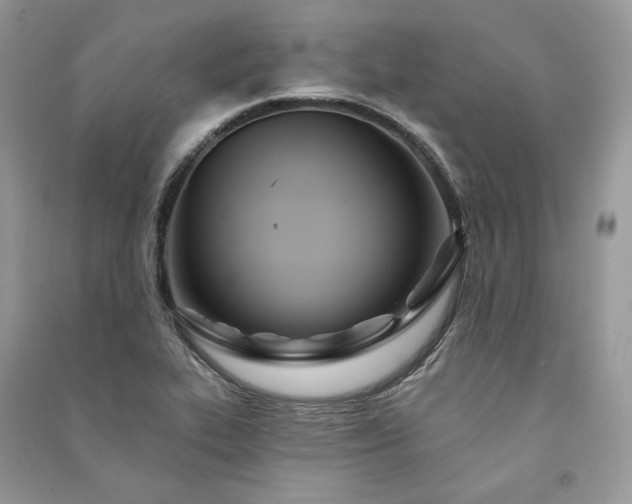 X0000091091319200708131311