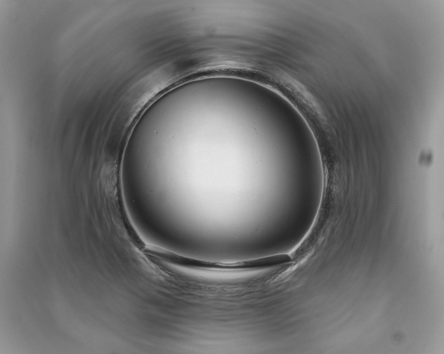 X0000091091321200708131311